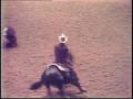 Video: [News Clip: Cutting Horses]