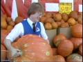 Video: [News Clip: Giant Pumpkin]