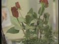 Video: [News Clip: Roses]