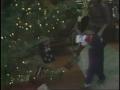 Video: [News Clip: Giving tree]