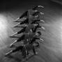 Photograph: [Female dancers lined up in a row, 2]