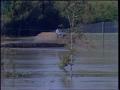 Video: [News Clip: Wildlife flood]