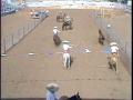 Video: [News Clip: Mexican rodeo]
