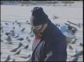 Video: [News Clip: Pigeons bird flu]