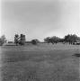 Photograph: [Large field with trees in a park]