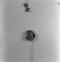 Photograph: [Photograph of a fraternity pin #8]