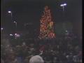 Primary view of [News Clip: Dallas Christmas tree]