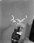 Photograph: [Longhorn puppet]