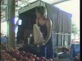 Video: [News Clip: Farmers market]