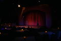 Primary view of [Comedy Night at the Muse Photograph UNTA_AR0797-148-034-0002]