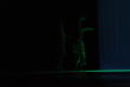 Photograph: [Photograph of a dancer illuminated by green lights]