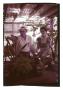 Photograph: [Albert and Maude in a Greenhouse]