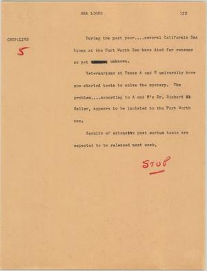 Primary view of object titled '[News Script: Sea lions]'.