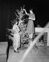 Photograph: [Photograph of Ann Alden and Christmas tree]