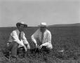 Photograph: [Two men in a field]