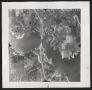 Photograph: [Aerial Photograph of Denton County, DJR-5P-133]