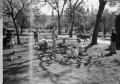 Photograph: [Photograph of individuals feeding pigeons in a park]