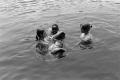 Photograph: [Four individuals in a lake]