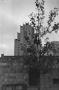 Thumbnail image of item number 1 in: '[Photograph of a tall building behind a stone wall]'.