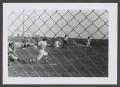 Photograph: [Photograph of the batter at a children's baseball game, 2]