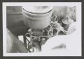 Photograph: [Photograph of an automobile engine]