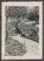 Primary view of [Photograph of Doris Stiles Williams at the San Antonio Japanese Tea Garden]