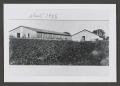 Photograph: [Two buildings at the Stiles Plant Farm]