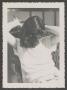 Photograph: Doris pinning up her hair, 6]