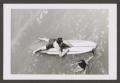 Photograph: [Photograph of a teenage boy on a surfboard and a girl swimming next …