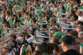 Photograph: [Mean Green Brigade brass section performing]