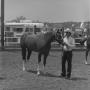 Photograph: [A Man in sunglasses with his Horse]