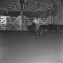 Photograph: [Hedgie Nellie competing at LSU, 3]