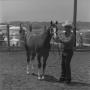 Photograph: [A Man and his Horse]