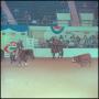 Primary view of [Smart Little Lena and Bill Freeman at NCHA Futurity]