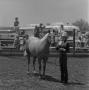 Photograph: [Young Boy with a Horse]