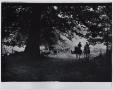 Primary view of [Crawford and Irma Finney Riding Horses]