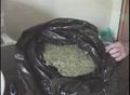 Video: [News Clip: Bags of marijuana]