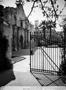 Photograph: [A gate and the Alamo]