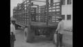 Video: [News Clip: Cattle Moved Across Border]