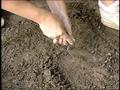 Video: [Ray Roberts Archaeologists]