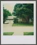 Photograph: [Front of a house, taken from across the street]