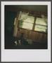 Photograph: [Small dog standing in a room]