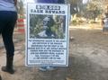 Primary view of [Reward sign for theft of statue bust]