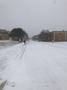 Photograph: [Snow day on University of North Texas (UNT) view from Highland Stree…