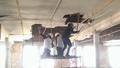 Photograph: [ASB students pulling down ceiling]