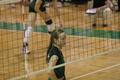 Photograph: [Women's Volleyball player looks through the net]