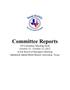 Report: [TXSSAR Committee Reports: October 13 - 15, 2017]