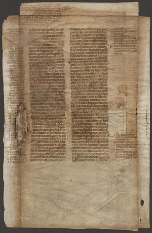 Primary view of object titled '[Manuscript Leaf 14th Century, Italy]'.