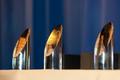 Thumbnail image of item number 1 in: '[2010 Pro Bene Meritis Awards]'.