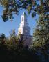 Photograph: [McConnell Memorial Tower above trees, 4]